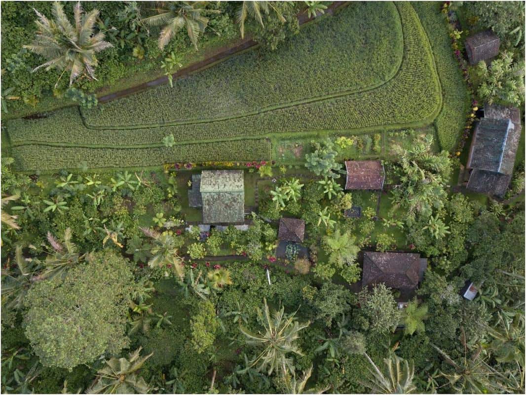 canh-quan-farmstay-min.