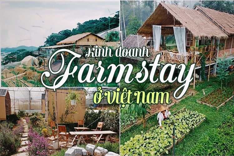 du-lich-nong-trai-farmstay-la-gi-kinh-nghiem-dau-tu-tiem-nang-va-rui-rojpg.