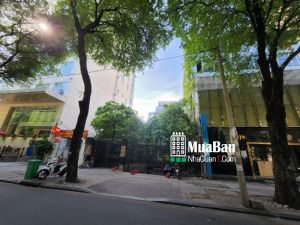 Bán Biệt thự MT Nguyễn Du 380 Tỷ có gì ?