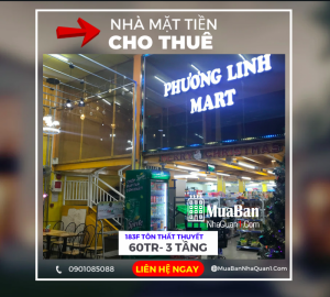 CHO THUÊ MẶT TIỀN ĐẮC ĐỊA - #183 TÔN THẤT THUYẾT