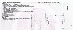 BÁN ĐẤT, MẶT TIỀN, ĐƯỜNG TỈNH LỘ, #867,TÂN PHƯỚC, TIỀN GIANG.