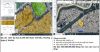 161f-da-nam-va-299-307-pham-the-hien-p-3-quan-8 - ảnh nhỏ 3